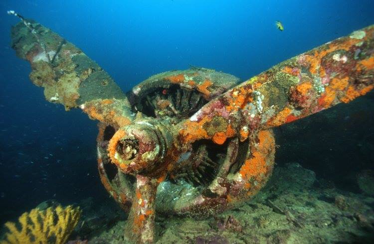Pesawat Bomber Wreck