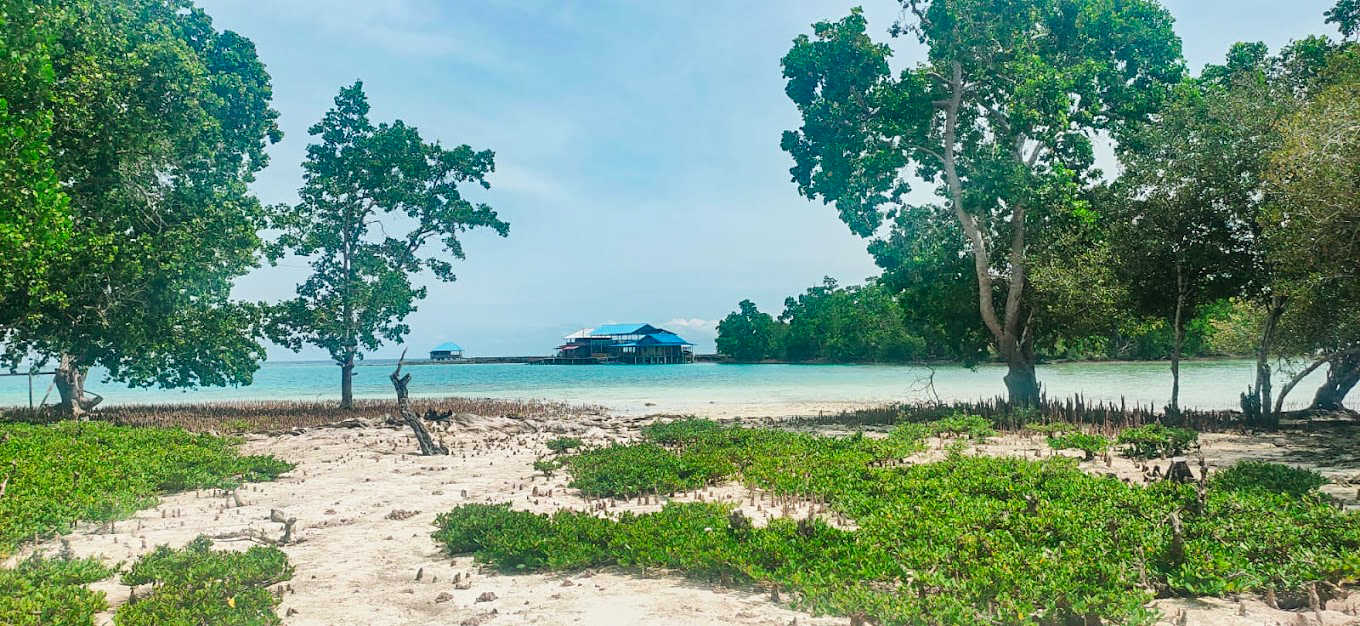 Pantai Pasir Putih Tete